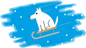 Malý novoroční test 2020 | UMÍM ČEŠTINU?